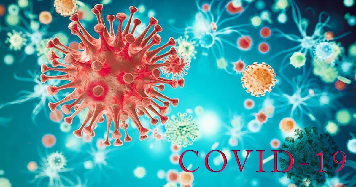 Covid and immune system.