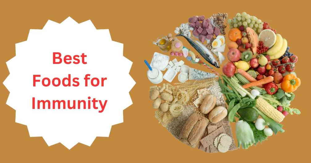 Best foods for immunity cover.